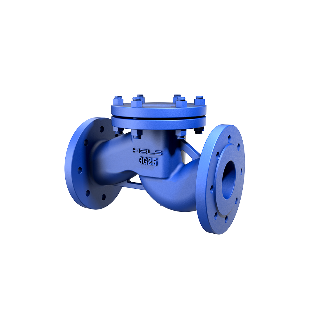 Lift Check Valve