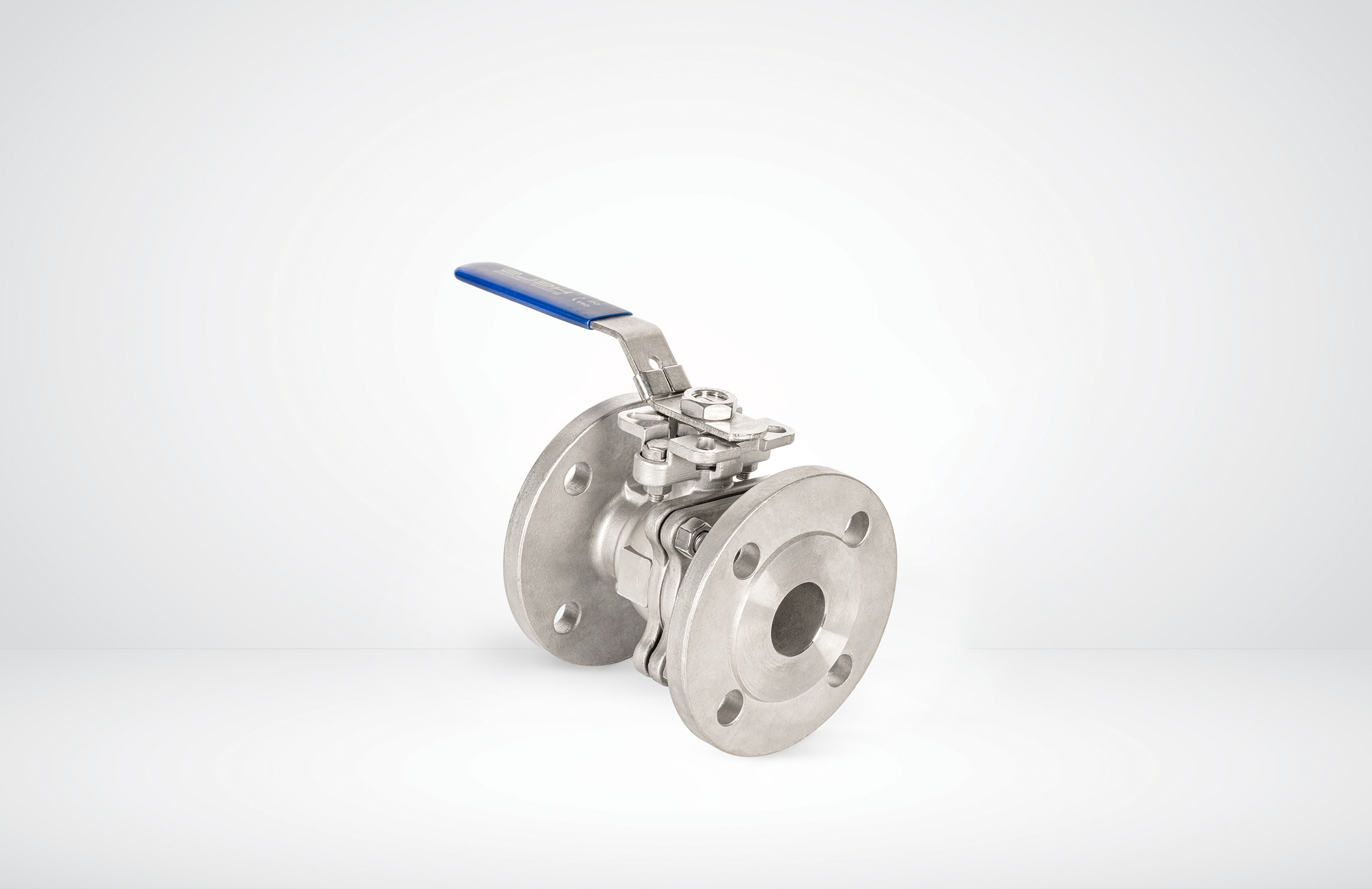 Globe Valve
